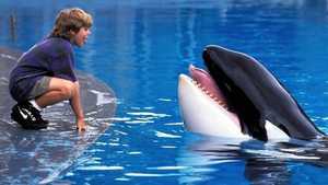 نهنگ آزاد 1 Free Willy 1 (1993)