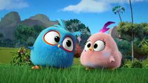G-Angry-birds-blues-2017 (2)