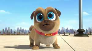 دانلود قسمت 1 تا قسمت آخر کارتون پاپی و دوستان Puppy Dog Pals دوبله فارسی کامل ب کیفیت بالا