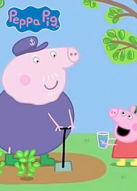 قسمت بیست و نهم