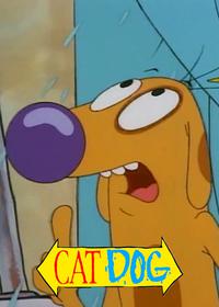 قسمت پانزدهم