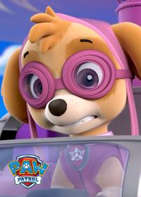 قسمت نوزدهم Pups Save a Super Pup