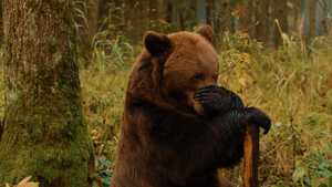 دانلود یا تماشا نسخه دوبله فارسی کامل فیلم ماجراجویانه پاپا خرسه Papa Bear 2025