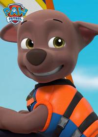 قسمت هفتم Sea Patrol, Pups Save a Water Walker
