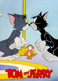 موش در خانه