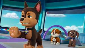 دانلود کارتون سینمایی جدید دردسر گربه ای راکی Rocky's Cat-astrophe 2026 دوبله فارسی کامل با کیفیت بالا