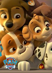 قسمت شانزدهم Pups Save a School Day