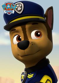 قسمت بیست و پنجم Ultimate Rescue, Pups Stop a Junk-Monster