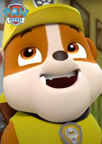 قسمت چهاردهم Pups Save a Bat Family