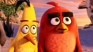 پرندگان خشمگین Angry Birds (2016)