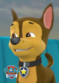 قسمت سیزدهم Pups Save Old Trusty