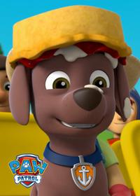 قسمت نهم Pups Save a Talent Show