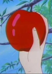 قسمت پانزدهم