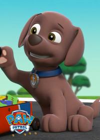 قسمت چهاردهم Pups Save a Friend