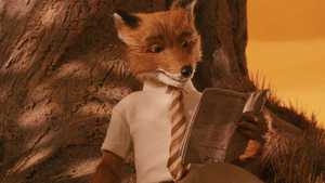 آقای فاکس شگفت انگیز Fantastic Mr Fox (2009)