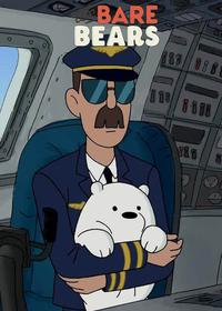 بچه خرسها در هواپیما