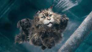 دانلود یا تماشای آنلاین نسخه دوبله فارسی کامل فیلم گربه و سگ Cat and Dog 2023