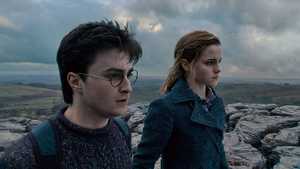 هری پاتر و یادگاران مرگ 1 Harry Potter and the Deathly Hallows: Part 1 (2010)