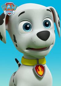 قسمت نوزدهم Mission PAW : Pups Save a Royal Concert