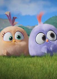 درست کردن یا خراب کردن