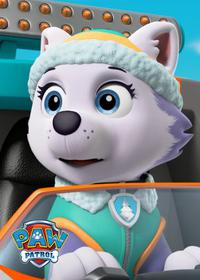 قسمت هفدهم All Star Pups!