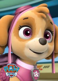 قسمت چهاردهم Pups Save the Bay