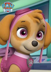 قسمت یازدهم Pups Save the Skydivers