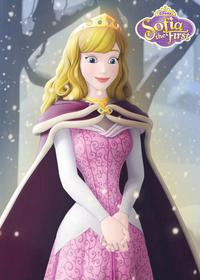 قسمت هشتم Holiday in Enchancia