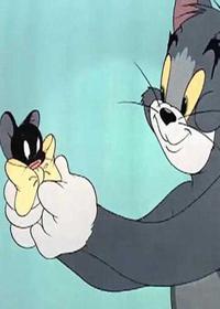 موش برای فروش