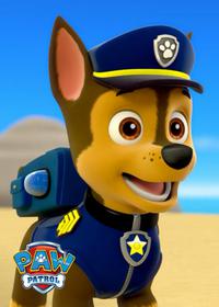 قسمت بیست و ششم Pups and the Pirate Treasure