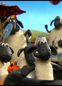 آشوب در پیک نیک