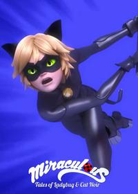 قسمت دوازدهم Perfection