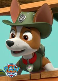 قسمت بیست و یکم Parroting Pups