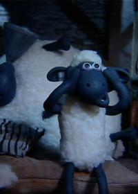 من رو دنبال کن