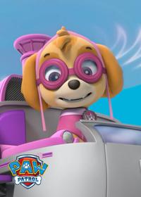 قسمت بیستم Pups Save Walinda