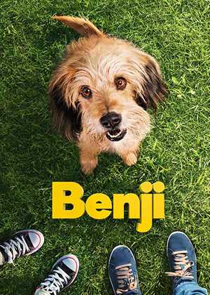 بنجی Benji