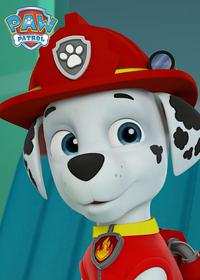 قسمت بیستم Pups Save a White Wolf