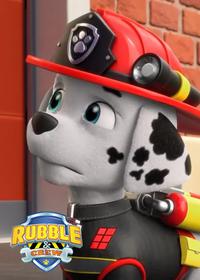 قسمت یازدهم