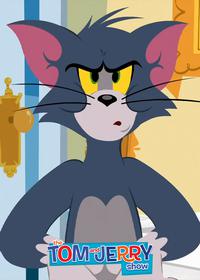 قسمت یازدهم