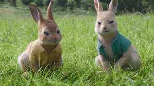 دانلود نسخه دوبله فارسی فیلم کمدی و سینمایی پیتر خرگوشه 2 : فراری Peter Rabbit 2 : The Runaway مناسب تماشای خانوادگی با کیفیت بالا