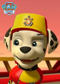 قسمت دهم Sea Patrol Pups Save Their Pirated Sea Patroller