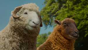 تماشا فیلم سینمایی گوسفندان کارآگاه The Sheep Detectives 2026 دوبله فارسی مناسب تماشای خانوادگی