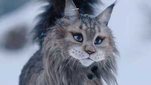 دانلود فیلم گربه و سگ Cat and Dog 2023 دوبله فارسی کامل مناسب تماشای خانوادگی
