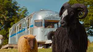 تماشای رایگان یا دانلود نسخه دوبله فارسی فیلم سینمایی گوسفندان کارآگاه The Sheep Detectives 2026