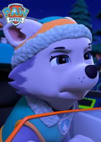 قسمت شانزدهم Pups Save a City Kitty