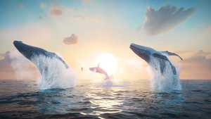 دانلود کارتون سینمایی آخرین نهنگ آوازخوان The Last Whale Singer 2025 دوبله فارسی کامل با کیفیت عالی