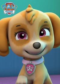 قسمت بیست و پنجم Pups Save a Pluck-O-Matic