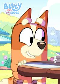 قسمت سیزدهم