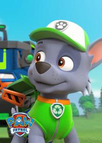 قسمت دهم Pups Save a Stinky Flower