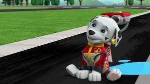 دانلود کارتون سینمایی سگ های نگهبان مسابقه ای قسمت سگ های نگهبان آماده برای نجات مسابقه Paw Patrol : Ready, Race, Rescue! با کیفیت عالی و دوبله فارسی کامل